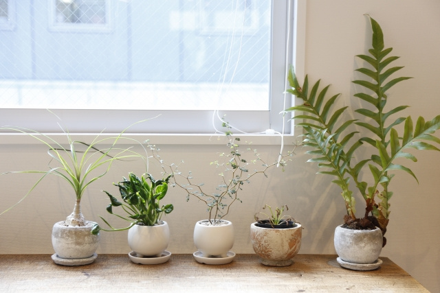 使い捨てカイロを再利用するときの注意点