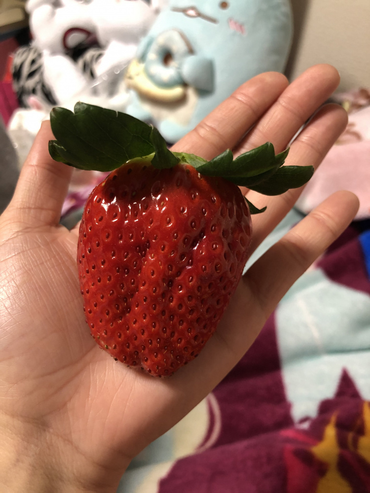 でかすぎるイチゴの画像