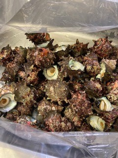 おうち時間の画像