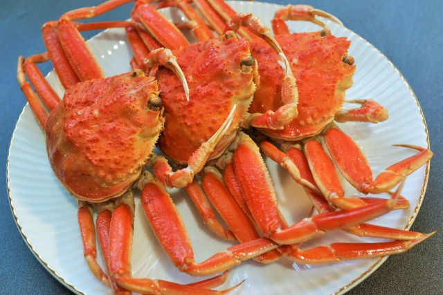 もらって嬉しい食べて美味しい福井市の名産品やお土産の画像