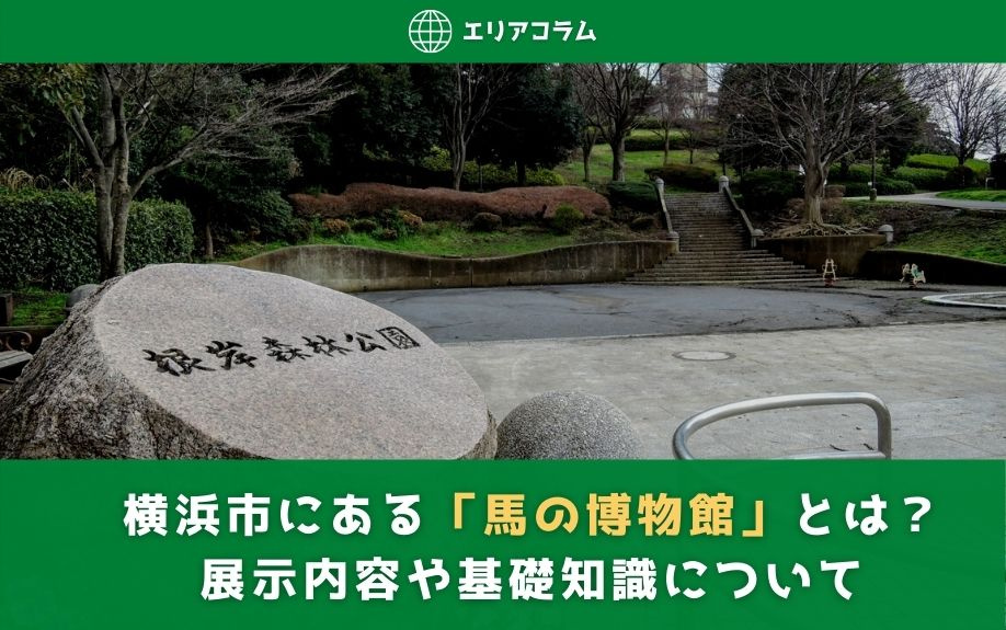 横浜市にある「馬の博物館」とは？展示内容や基礎知識についての画像