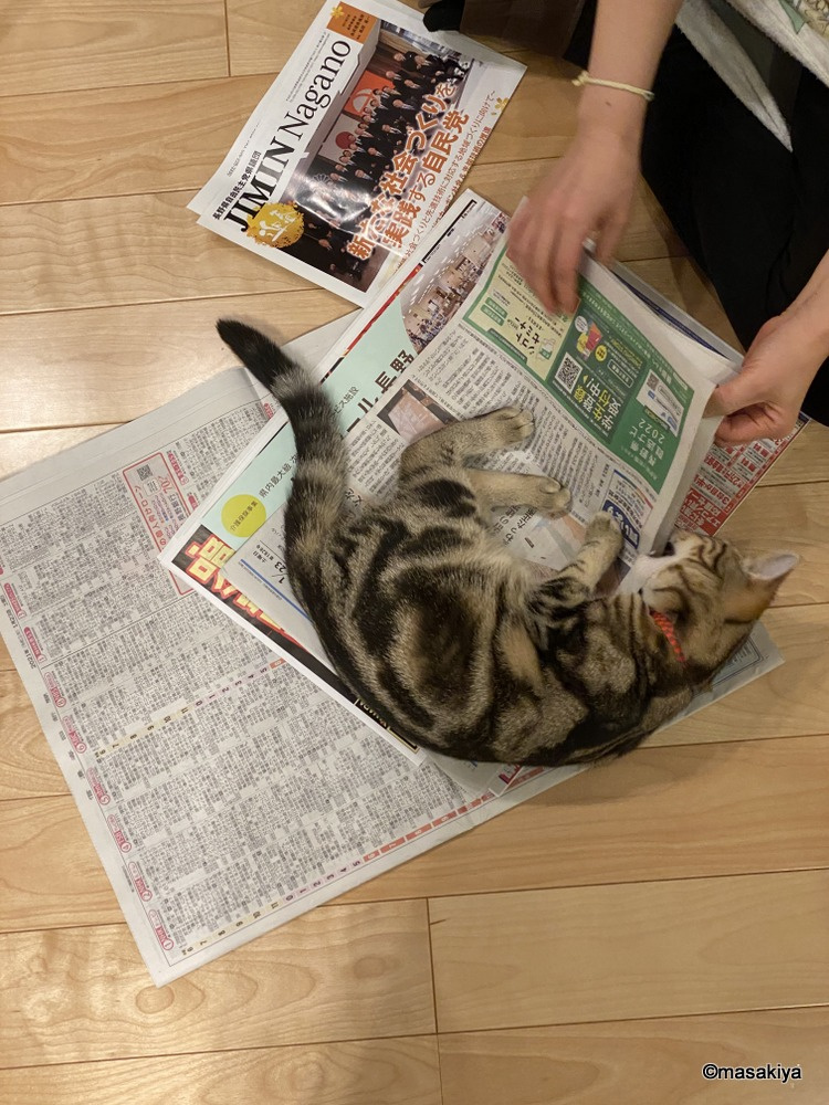 新聞紙の画像