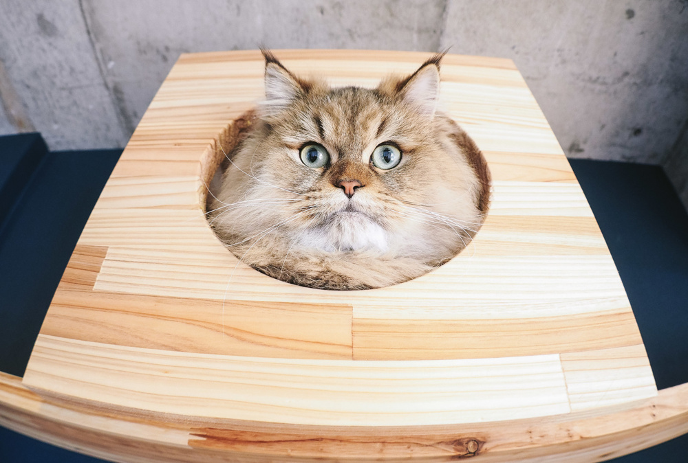 新築を購入したら掃除は必要？入居前掃除の意味とポイントの画像
