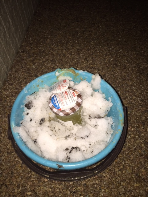 雪の画像