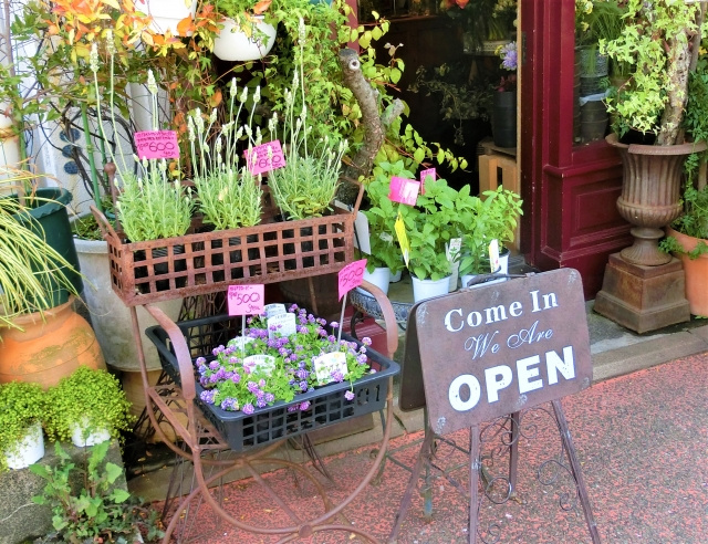 千葉県習志野市でベランダガーデニングにおすすめの花屋を紹介