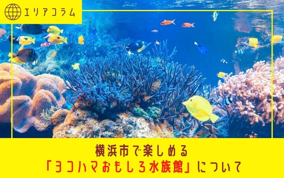 横浜市で楽しめる「ヨコハマおもしろ水族館」についての画像