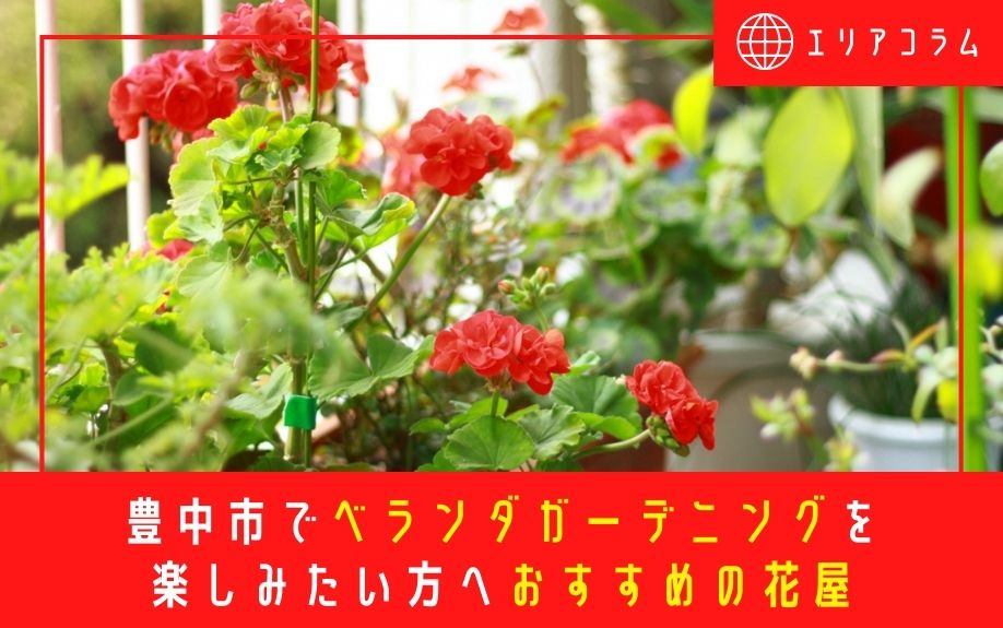 豊中市でベランダガーデニングを楽しみたい方へおすすめの花屋