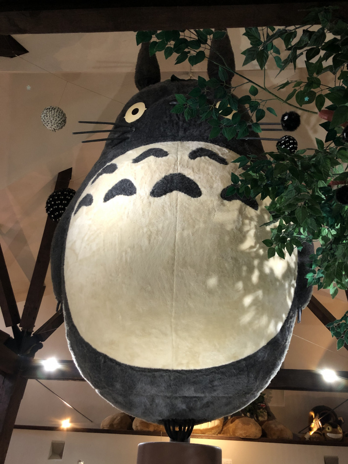 伊豆の思い出の画像