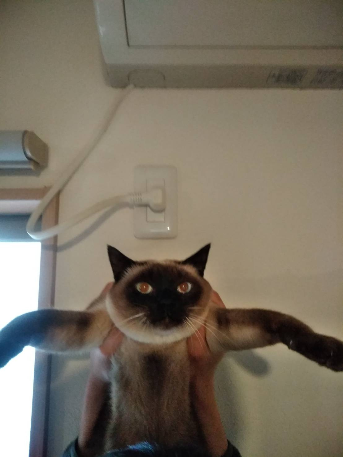 今年は賃貸の契約が多い。の画像