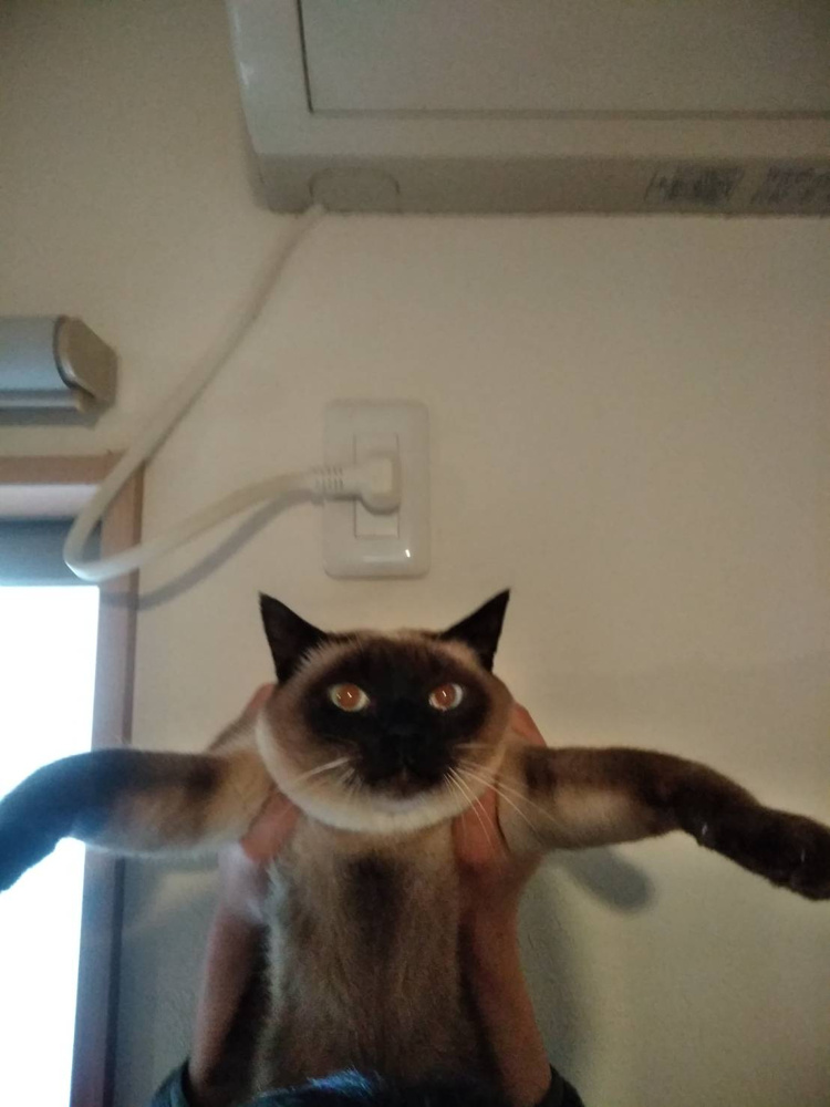 今年は賃貸の契約が多い。の画像