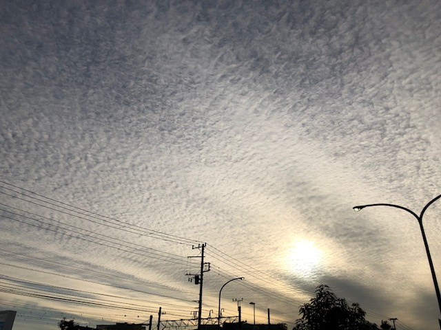 いわし雲、うろこ雲 ？？の画像