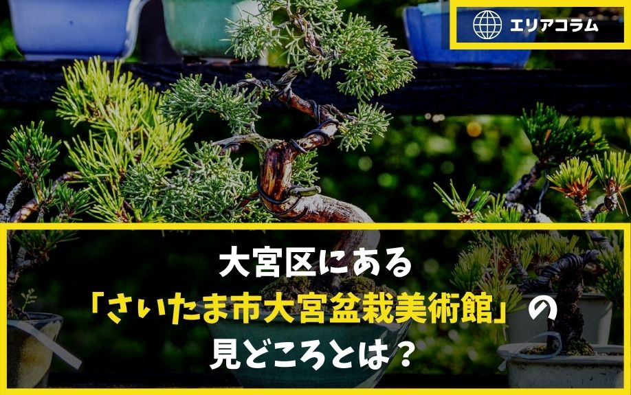 大宮区にある「さいたま市大宮盆栽美術館」の見どころとは？の画像