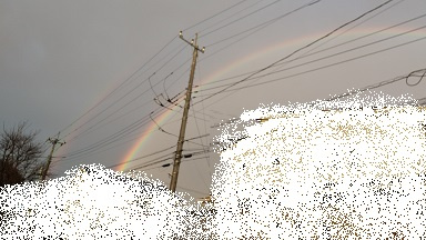 ●定休日のお知らせ●の画像