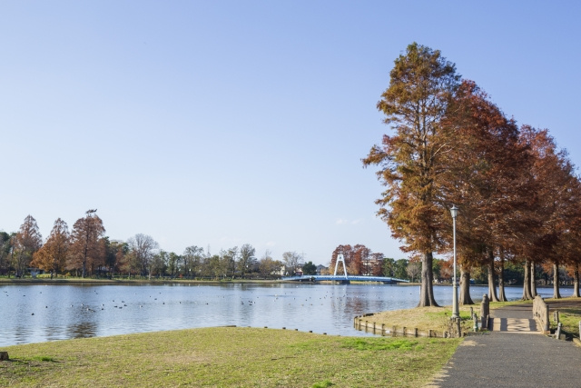 三郷市にあるおすすめの公園は？密を避けて思いっきり遊べる場所をご紹介の画像