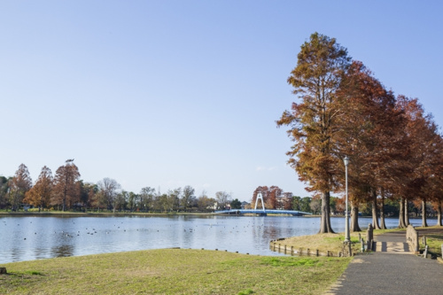 三郷市にあるおすすめの公園は？密を避けて思いっきり遊べる場所をご紹介