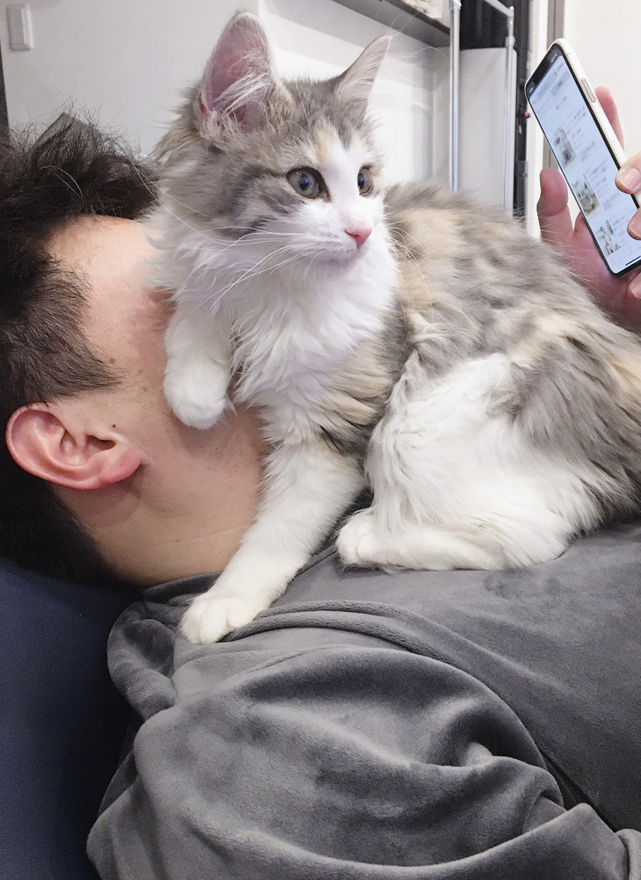 (^^♪の画像