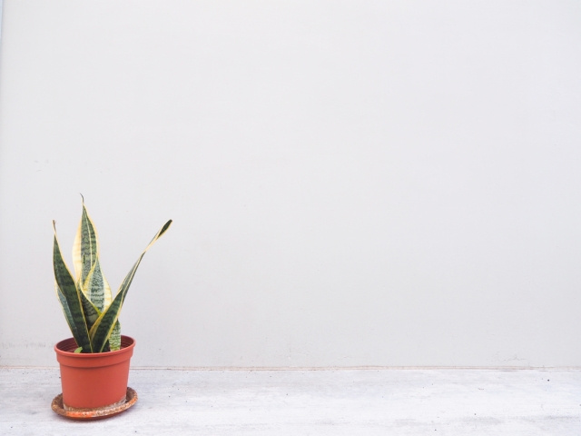 【大学生の一人暮らしと下宿の違いは？】まとめ