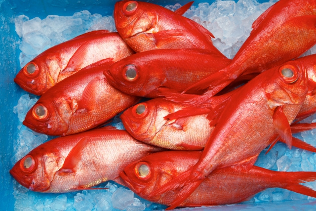 千葉県柏市のふるさと納税の取り組みは？返礼品と使い道をチェック！の画像