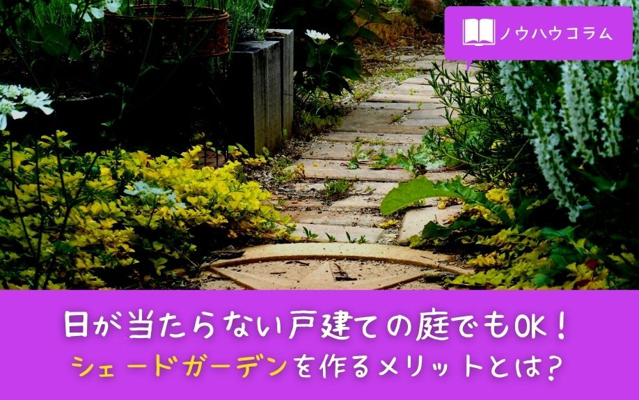 日が当たらない戸建ての庭でもOK！シェードガーデンを作るメリットとは？の画像