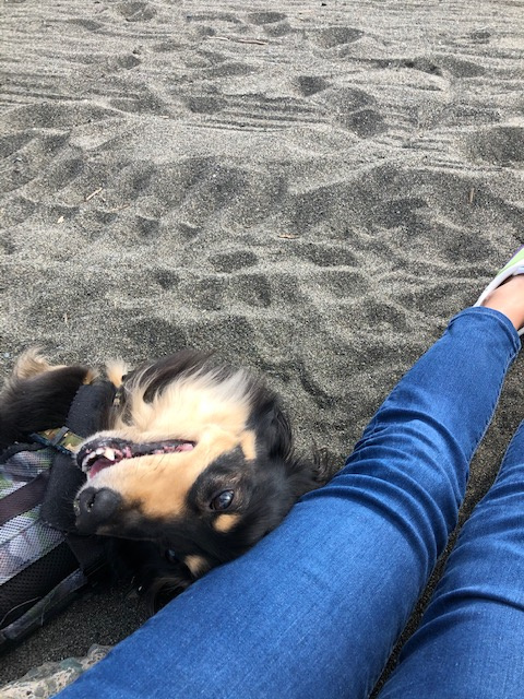 KYOKO　初ブログ～湘南の海～の画像