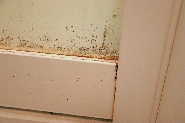 どんなのが善管注意義務違反？違反したらどうなる？