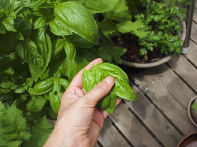 まとめ～専用庭も善管注意義務の対象内～