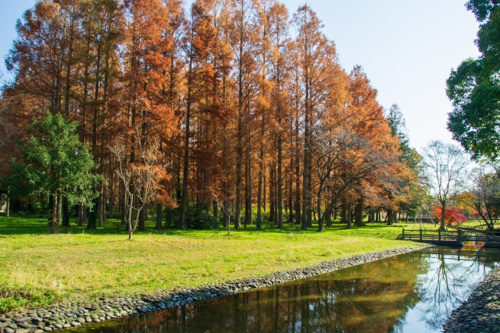 密を避けて楽しめる 葛飾区でファミリーにおすすめの公園2選 葛飾区 江戸川区で新築戸建て 不動産を探すならテイクワン株式会社
