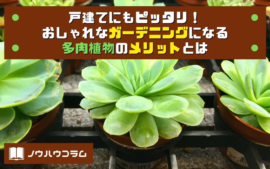 戸建てにもピッタリ！おしゃれなガーデニングになる多肉植物のメリットとはの画像