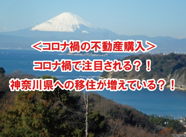＜コロナ禍の不動産購入＞ コロナ禍で注目される？！神奈川県への移住が増えている？！の画像