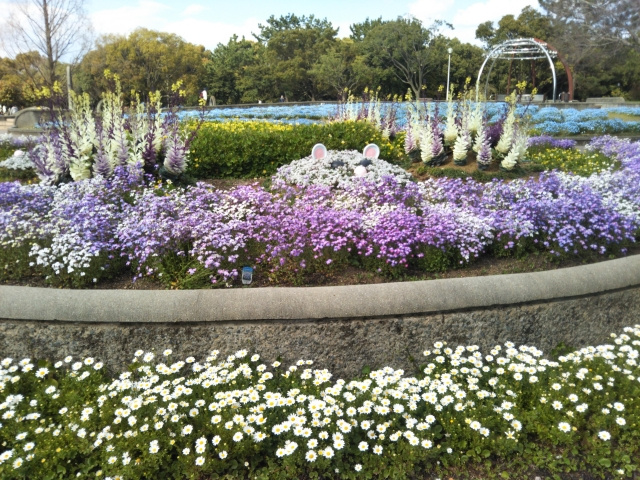子供と一緒に親子で遊べる八尾市の公園・美園公園