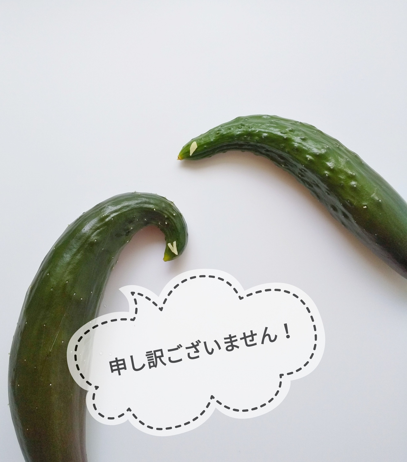 「タッチの差」が大事な時期！の画像