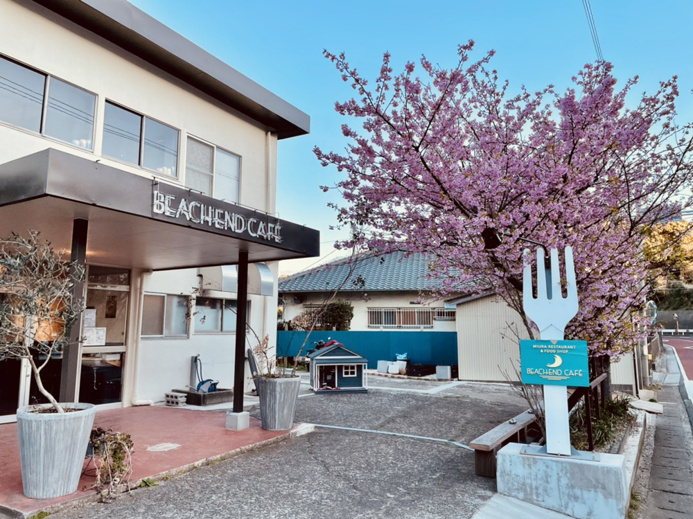 【話題の】オーシャンビューカフェレストラン【お店】の画像