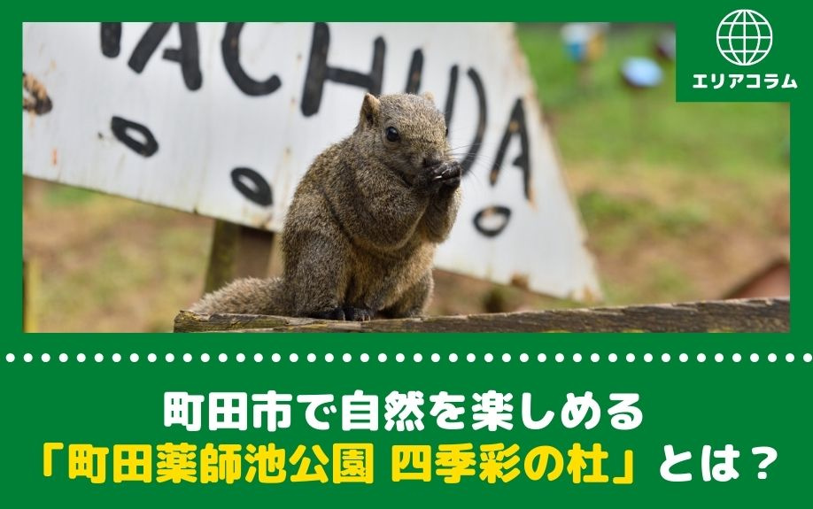町田市で自然を楽しめる「町田薬師池公園 四季彩の杜」とは？の画像