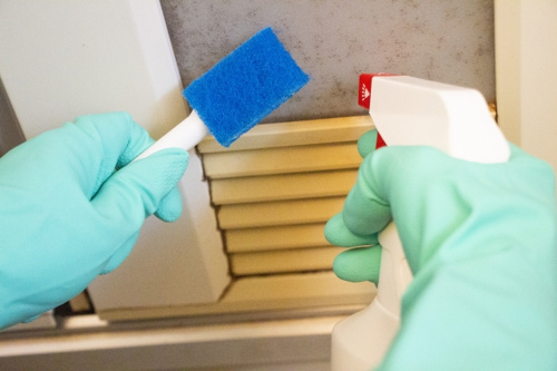 賃貸物件のお風呂のカビ問題に本気で向き合う！対処法や予防法をチェック！