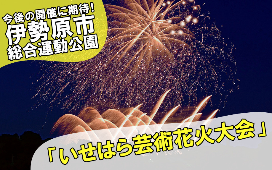 今後の開催に期待！伊勢原市総合運動公園「いせはら芸術花火大会」の画像