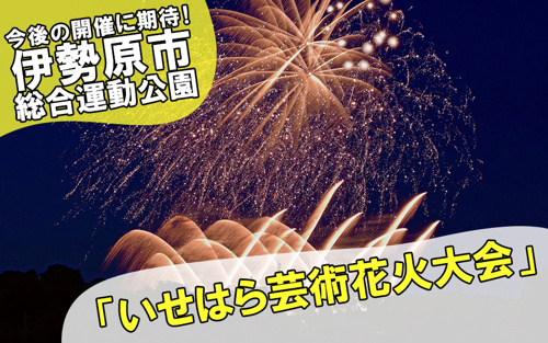 今後の開催に期待 伊勢原市総合運動公園 いせはら芸術花火大会 リビングボイス