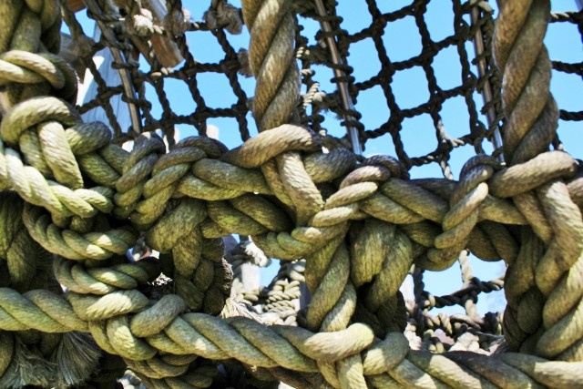 神戸市灘区の六甲山に新たなアスレチックが誕生！「GREENIA」の魅力とは？の画像