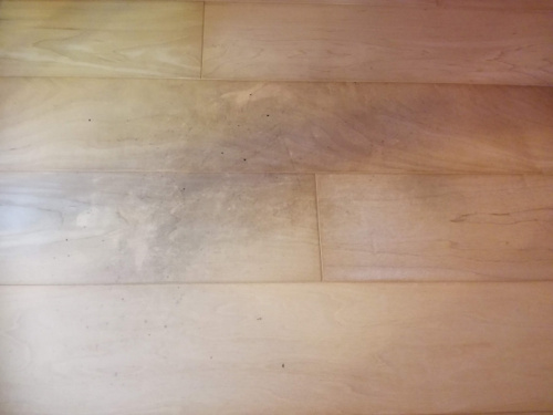 賃貸物件の床にカビ フローリングにカビが発生する原因と対策 大阪市内の賃貸 不動産のことならlagom ラゴム