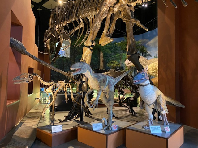 ～スタッフの日常～の画像