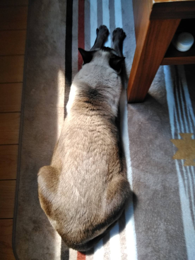 起業をする最大のメリット。の画像