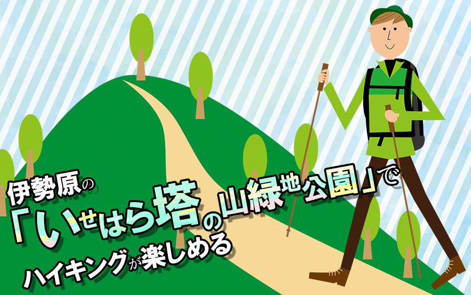 伊勢原の「いせはら塔の山緑地公園」でハイキングが楽しめるの画像