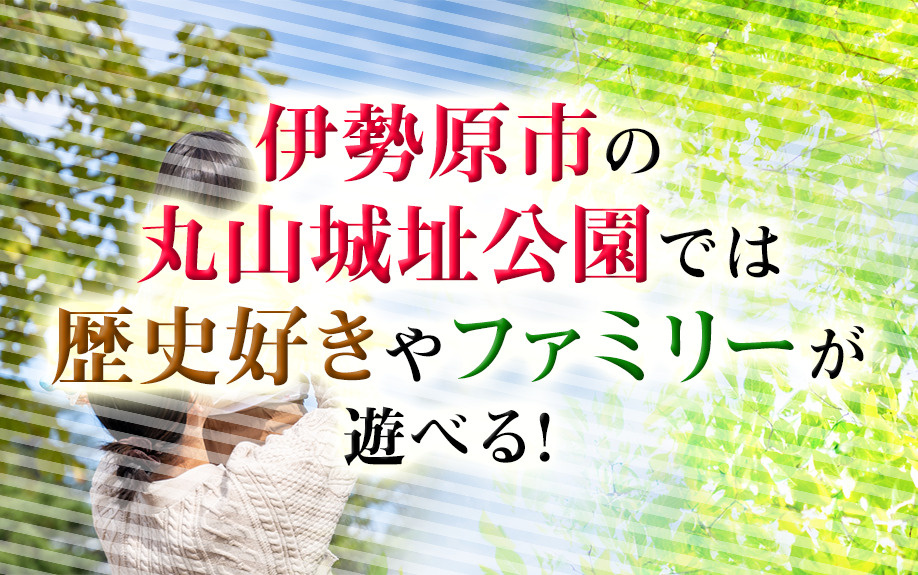 伊勢原市の丸山城址公園では歴史好きやファミリーが遊べる！の画像