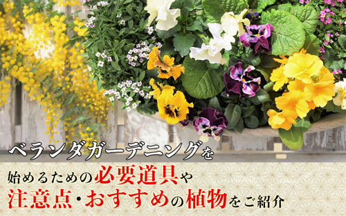 ベランダガーデニングを始めるための必要道具や注意点 おすすめの植物をご紹介 賃貸最大仲介手数料無料のg One