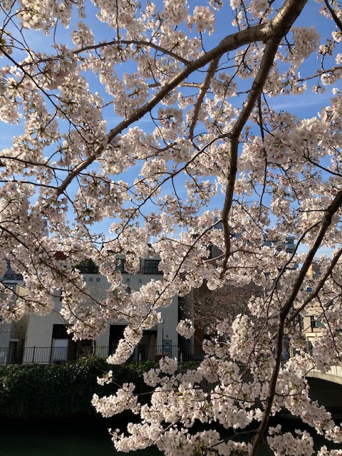 春の陽気！の画像