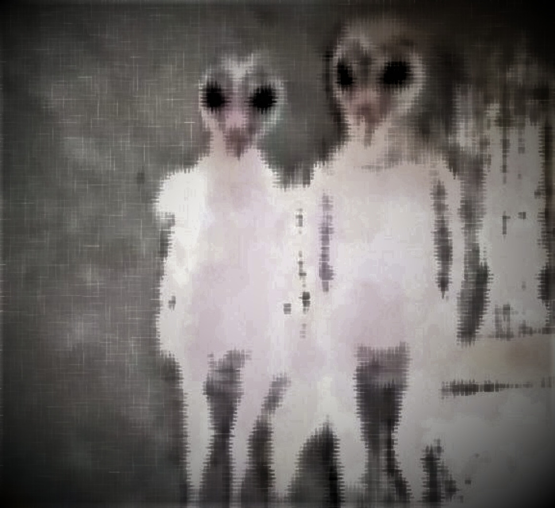 謎の生命体現る!???の画像