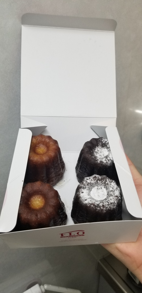 カトレーヌの画像