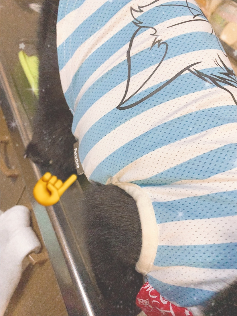 突然ですが。。。の画像