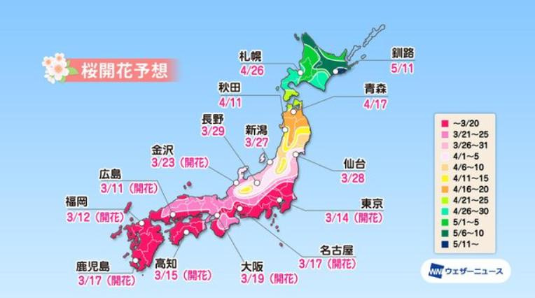 さぁくら～のはぁなびぃらちぃるたびに～♪♪の画像