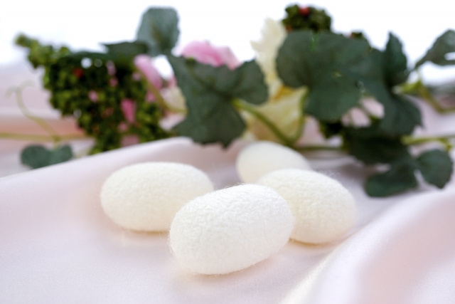 伊勢崎市の世界遺産・田島弥平旧宅の歴史や見学スポットを紹介！の画像