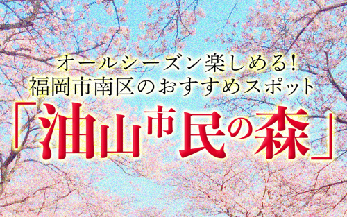 オールシーズン楽しめる！福岡市南区のおすすめスポット「油山市民の森」